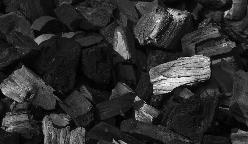 Carbón vegetal activado: el complemento para las digestiones pesadas